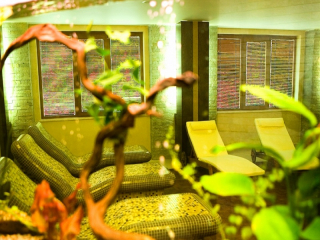 SPA HOTEL CALISTA - Relaxation room
